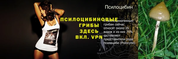 прущие крисы Магас