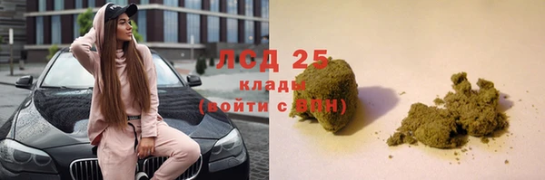 крисы Магадан