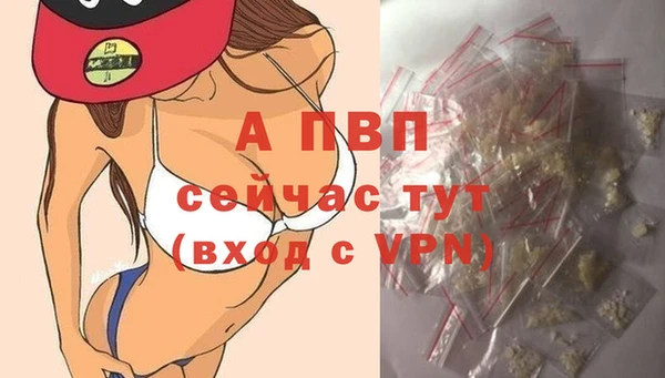 крисы Магадан