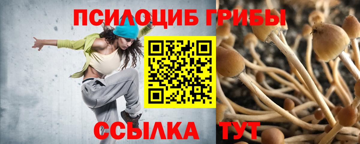Псилоцибиновые грибы Psilocybine cubensis  Псилоцибиновые грибы ЛСД  Петрозаводск  Вход с VPN 