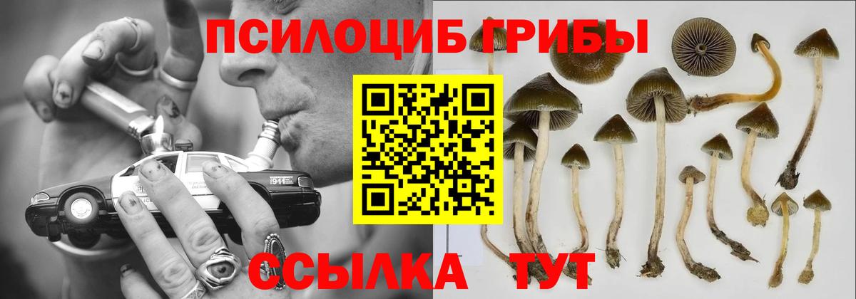 Галлюциногенные грибы Magic Shrooms Петрозаводск